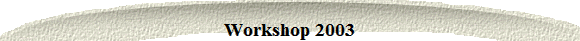Workshop 2003